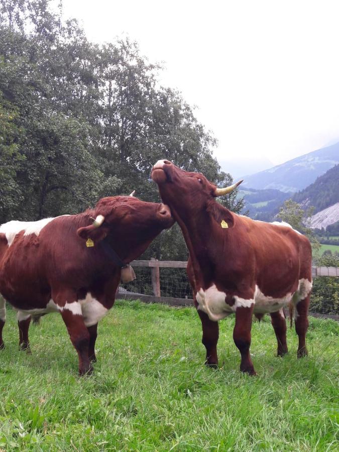Ferienhaus Lechnerhof Schladming Esterno foto