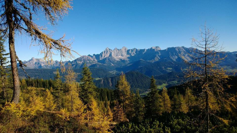Ferienhaus Lechnerhof Schladming Esterno foto