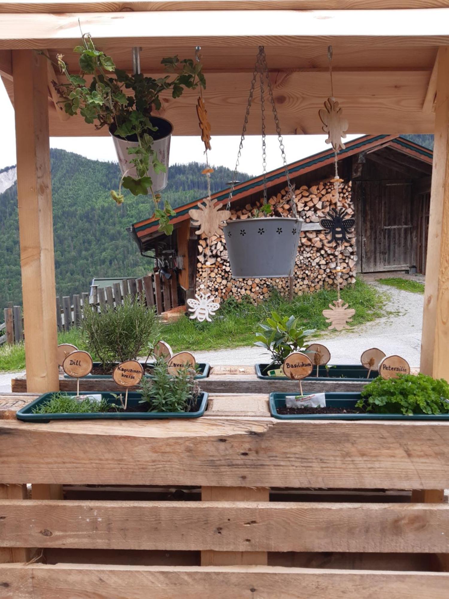 Ferienhaus Lechnerhof Schladming Esterno foto