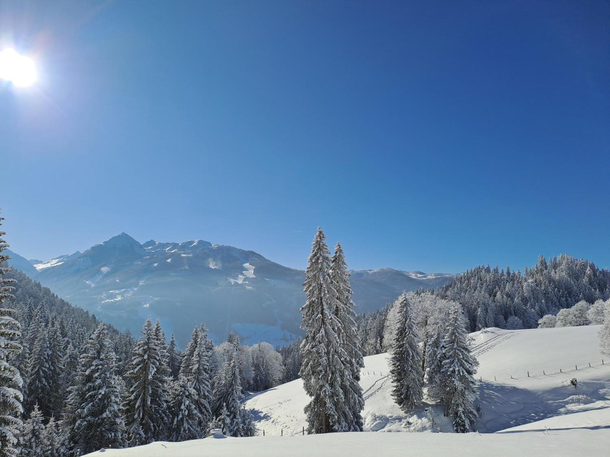 Ferienhaus Lechnerhof Schladming Esterno foto